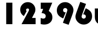 12396uj bags